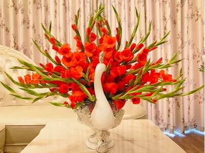 gợi ý 30 kiểu cắm bình hoa Tết vừa đẹp vừa sang, rước lộc về nhà